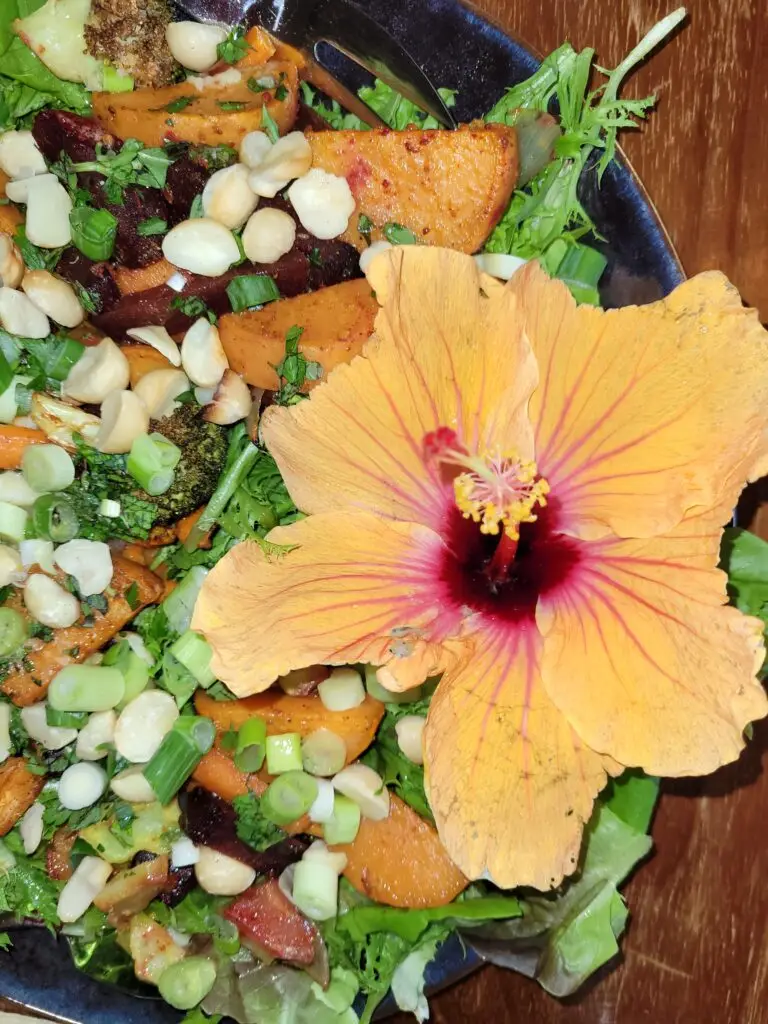 Orange hibiscus flower adorns vegetable and nut salad platter