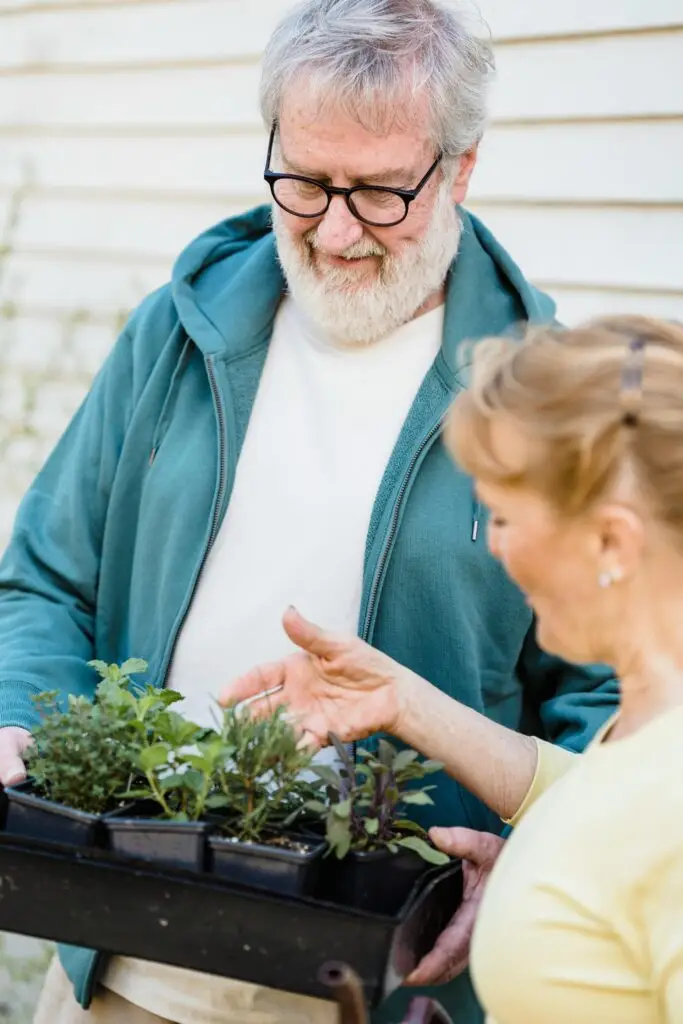 Elderly couple joyfully gardening, caring for potted plants outdoors.